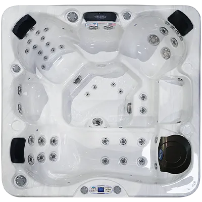 Avalon EC-849L hot tubs for sale in Frederick