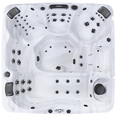 Avalon EC-867L hot tubs for sale in Frederick